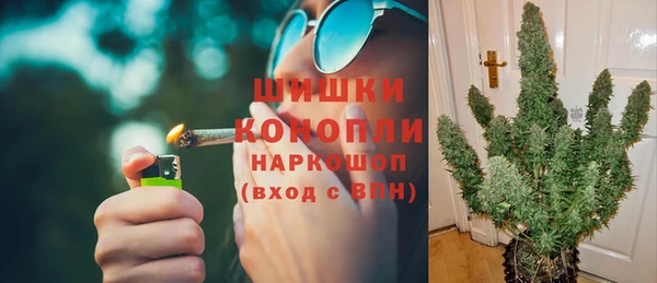 сатива Бородино