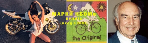 сатива Бородино