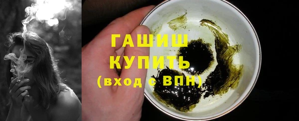 сатива Бородино