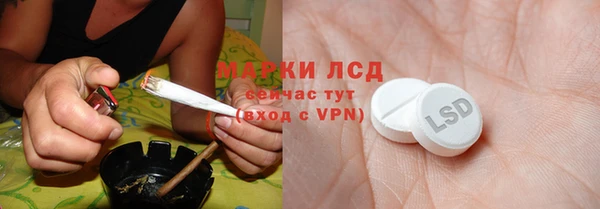 сатива Бородино