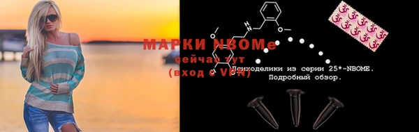 сатива Бородино