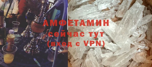 сатива Бородино