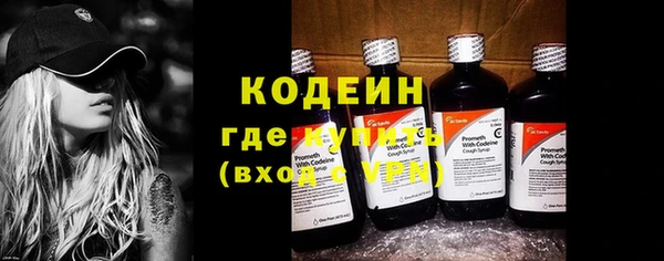 сатива Бородино