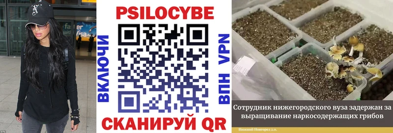 Псилоцибиновые грибы мицелий  Кирс 
